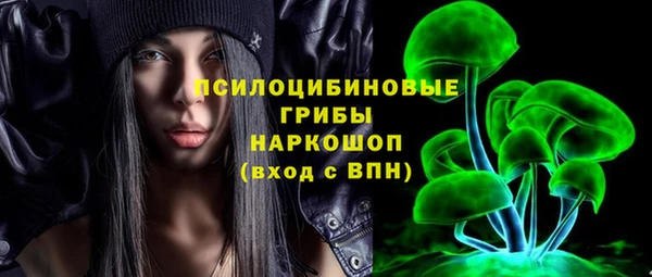 прущий лед Алексин