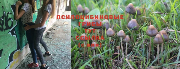прущий лед Алексин