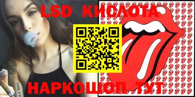 PSILOCYBIN Кунгур