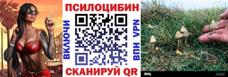 купить наркотики сайты  Чусовой  Псилоцибиновые грибы Magic Shrooms 