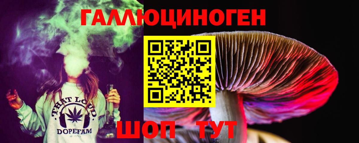 Галлюциногенные грибы GOLDEN TEACHER  Псилоцибиновые грибы Psilocybe  Вход с VPN  купить   Чусовой 